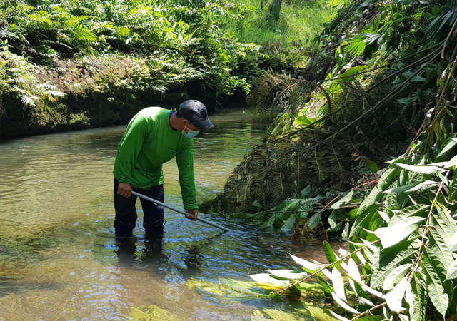 GESTA ECUADOR proyectos