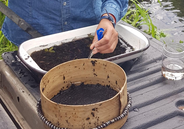 GESTA ECUADOR proyectos
