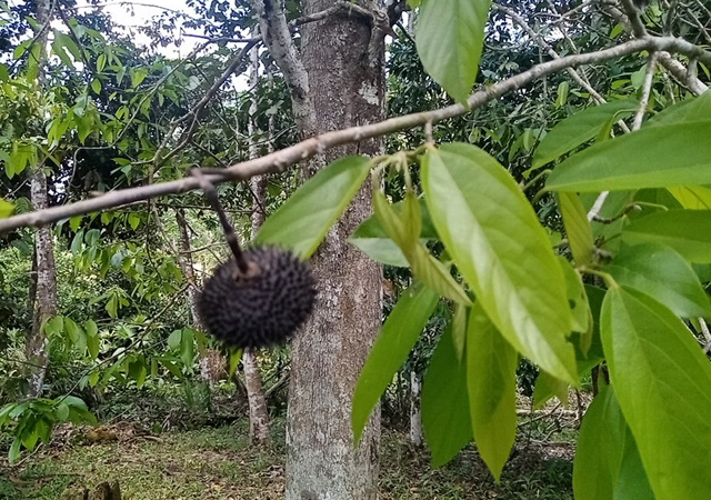 GESTA ECUADOR proyectos