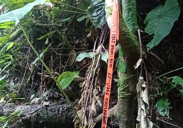 GESTA ECUADOR proyectos