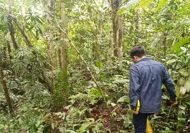 GESTA ECUADOR proyectos