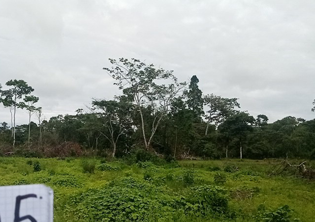 GESTA ECUADOR proyectos